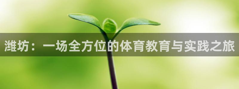 oety欧亿体育官网下载:潍坊:一场全方位的体育教育与实践之