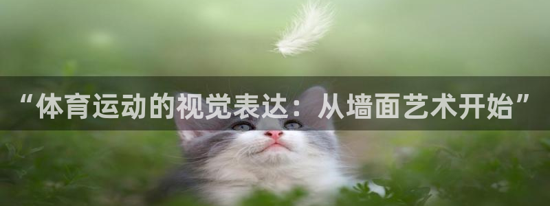 欧亿体育官方集团官网:“体育运动的视觉表达:从墙面艺术开始”