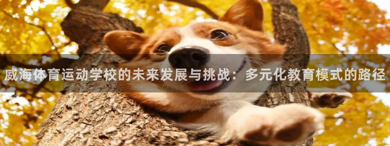 oety欧亿体育官网下载招商:威海体育运动学校的未来发展与挑